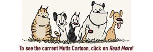 Mutts cartoons