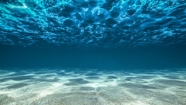 The seafloor is dissolving, thanks to human activity - Weird News ...