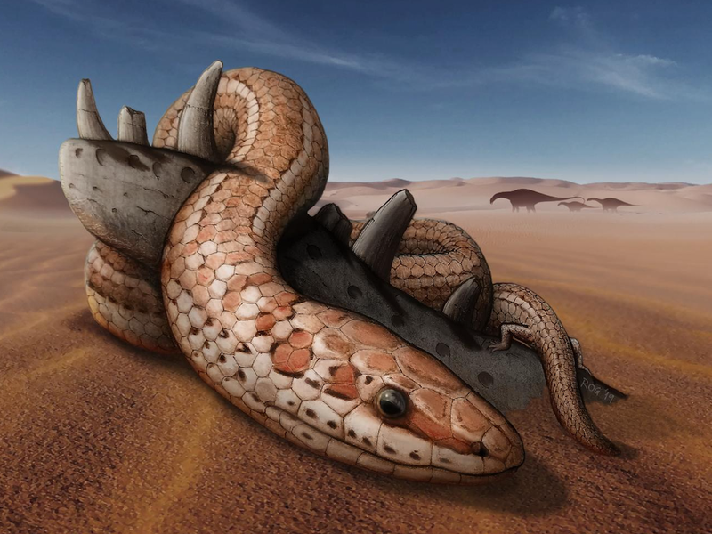 new-fossils-unlock-evolutionary-secrets-of-two-legged-snakes-weird