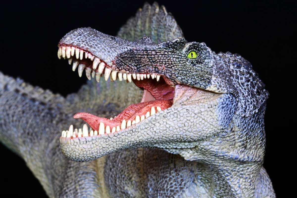 Superpredator Spinosaurus Revealed As First Known Swimming Dinosaur
