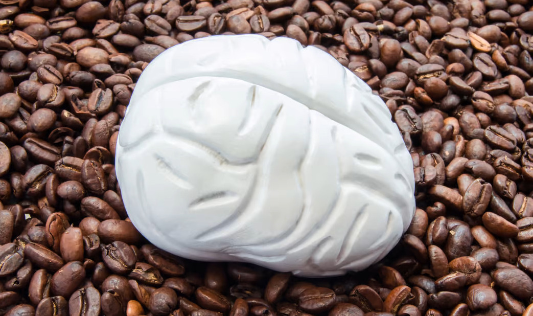 How your morning coffee is changing the structure of your brain - Weird ...